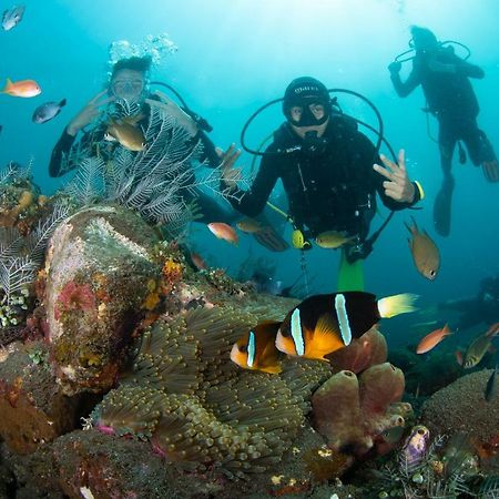 Bali Dive Resort Amed Extérieur photo